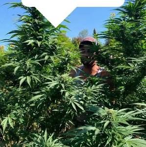 Meet your Posher, Jesse